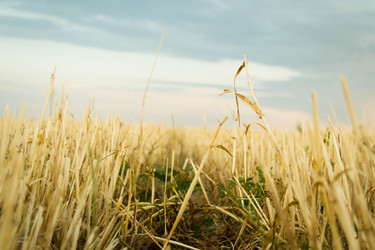 Similar image 12220516