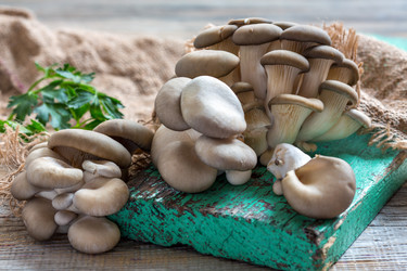 Similar image 12221159