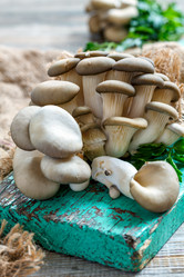 Similar image 12221160