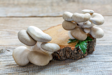 Similar image 12221161