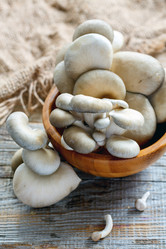 Similar image 12221162