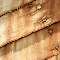 Similar image 12223174