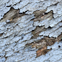 Similar image 12223192