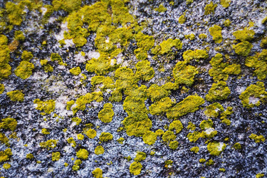 Similar image 12222955