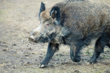 Similar image 12224964