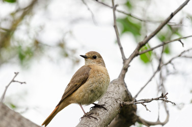 Similar image 12343865