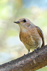 Similar image 12343623