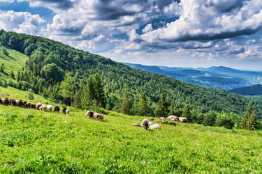 Similar image 12222945