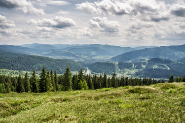 Similar image 12222960