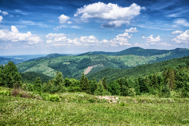 Similar image 12222919