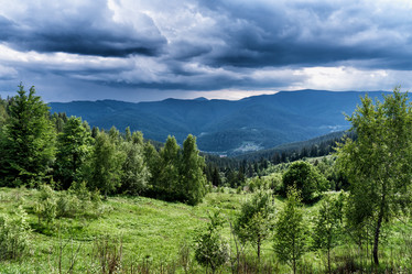 Similar image 12222961