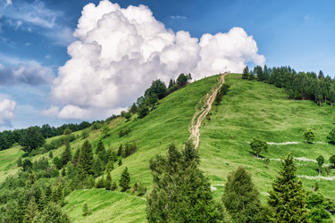 Similar image 12222962