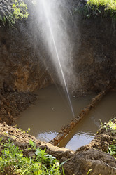 Similar image 12346833