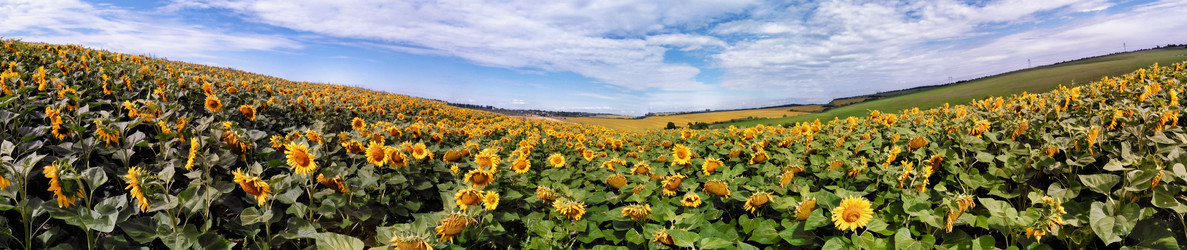 Similar image 12222925