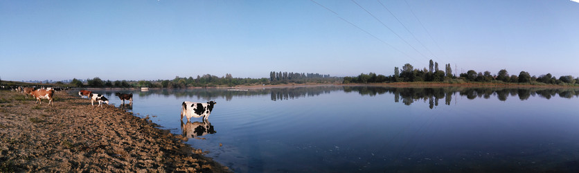 Similar image 12222965