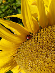 Similar image 12222966