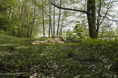 Similar image 12314631