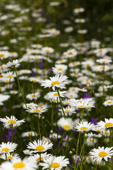 Similar image 12254098