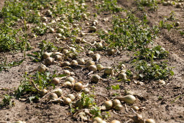 Similar image 12254808