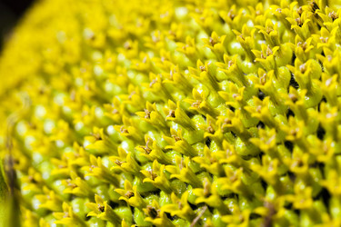 Similar image 12254828