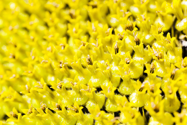 Similar image 12254888