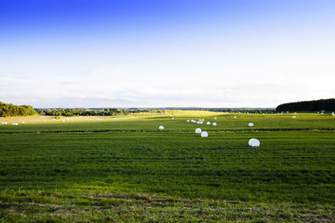 Similar image 12254956