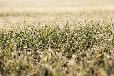 Similar image 12254849