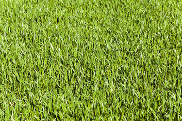 Similar image 12348056