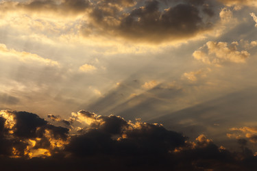 Similar image 12254082