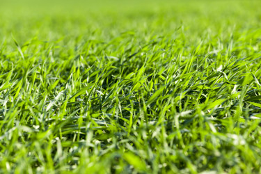 Similar image 12254920