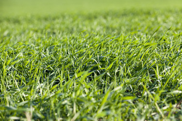 Similar image 12254959