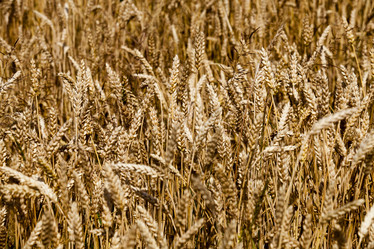 Similar image 12348078