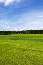 Similar image 12250518