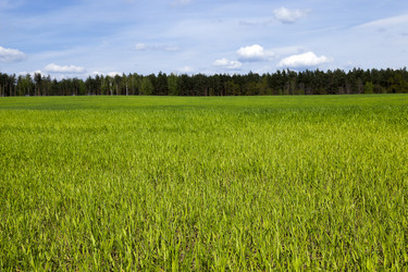 Similar image 12253906