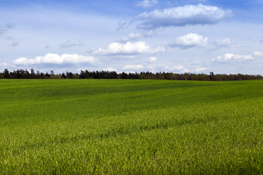 Similar image 12253981