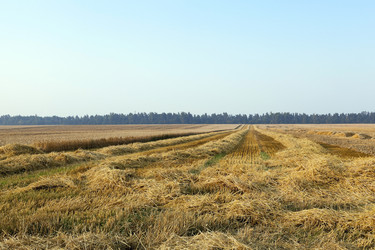 Similar image 12254791