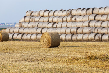 Similar image 12254038