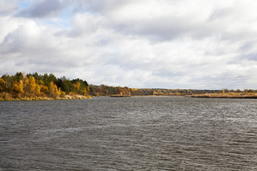 Similar image 12254061