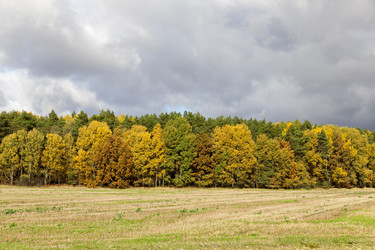 Similar image 12254873