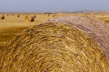 Similar image 12254961