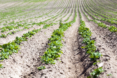 Similar image 12253884