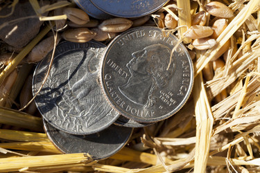 Similar image 12253909