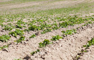 Similar image 12253911