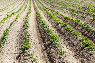 Similar image 12253959