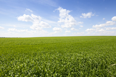 Similar image 12254039