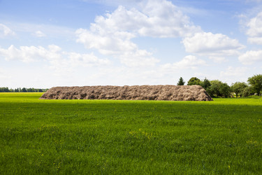 Similar image 12254062