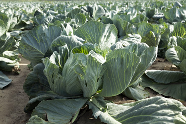 Similar image 12254085