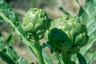 Similar image 12224957