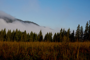 Similar image 12223331