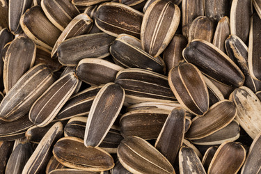 Similar image 12227406